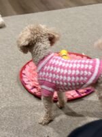 Alex customer photo of the crochet pet sweater
